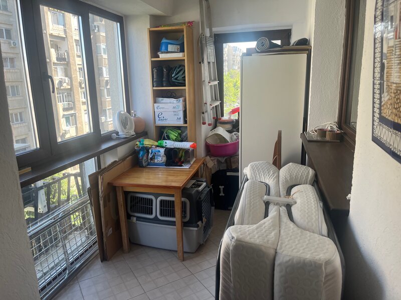 Mircea Voda, Camera de Comert