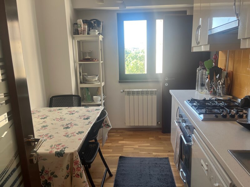 Mircea Voda, Camera de Comert