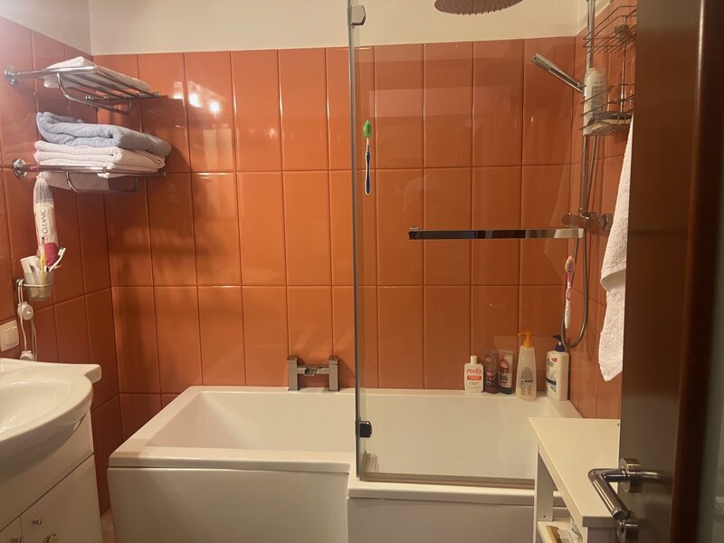 Mircea Voda, Camera de Comert