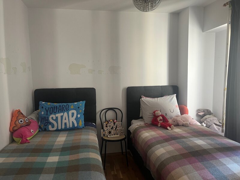 Mircea Voda, Camera de Comert