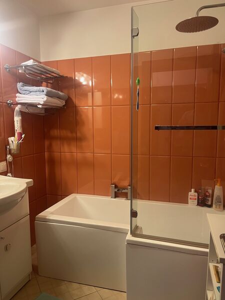 Mircea Voda, Camera de Comert